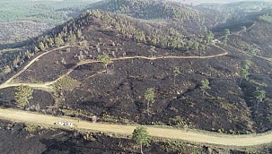 Son Dakika: Orman yangını 18 saatte kontrol altına alındı