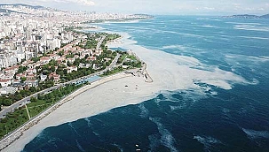 TBMM Müsilaj Araştırma Komisyonu'ndan flaş müsilaj açıklaması! Müsilajın sebebi...