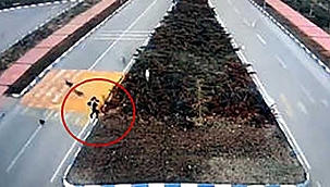 Üniversite kampüsünde sokak köpeklerinin genç kıza saldırdı