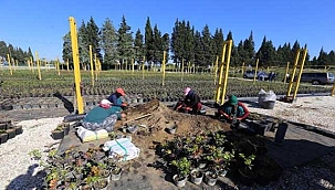 Yeniden yeşillendirilmesi için 2 milyon fidan