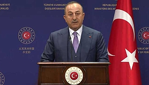 Bakan Çavuşoğlu: Geri itmelerde Frontex, AB ve Yunanistan'ın sorumluluğu var