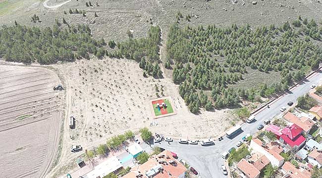 Başkan Çolakbayrakdar’dan Vatandaşlara Ağaçlandırma Çağrısı