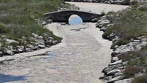 Büyükçekmece gölü için kritik uyarı! Yosunlar kapladı!