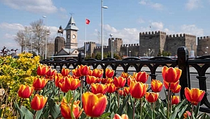 Büyükşehir, Kayseri'yi Çiçek Bahçesine Dönüştürüyor