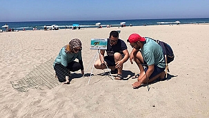 Caretta caretta yasağı! 3 sahile girmenin cezası 109 bin lira!