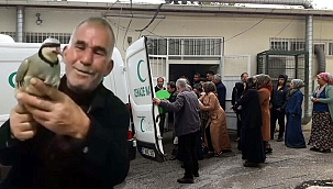 Elektrik direğinde akıma kapılıp öldü