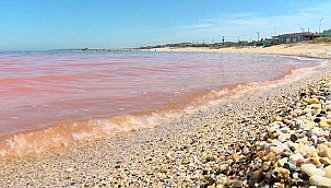 Flaş Haber! Karadeniz'de korkutan renk değişimi