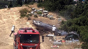 İzmir'de orman yangını çıktı
