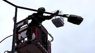 Kafesinden kaçan papağan için seferber oldular 