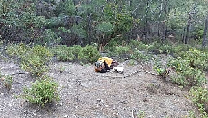 Kayıp olarak aranan yaşlı kadın ormanda...