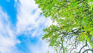 Kayseri ve ilçelerinde 5 günlük hava tahmini