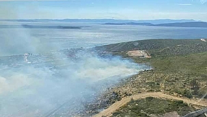 Makilik ve ormanlık alanda yangın! 