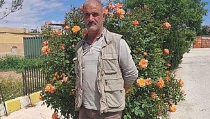 MİT'ten dev operasyon! PKK'lı terörist etkisiz hale getirildi