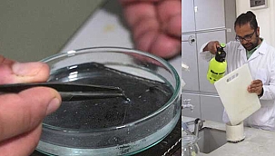 Plastik doğrama tahtalarındaki 'mikro' tehdit! 