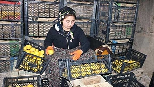 Soğuk hava deposunda Anneler Günü'ne çalışarak girdi