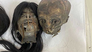 'Tsantsa'lar geldiği ülkeye iade edilecek