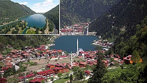 Uzungöl'ün çevresindeki kaçak yapılar yıkılıyor! 