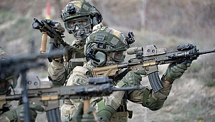 Yeşil ve gri kategorideki 2 terörist etkisiz hale getirildi