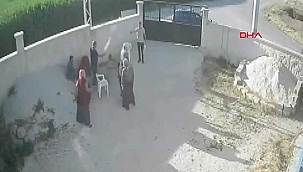 7 kişinin katledilmesi davasında flaş gelişme! Bir aileyi...