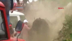 Arenadan kaçan boğalar, kalabalığın arasına daldı!