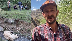 Ayı saldırısında öldü. Yavru köpekleri başında bekledi