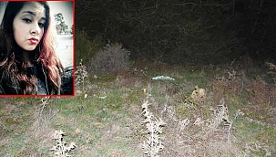 Ayşe Nazlı'yı öldüren sanığın cezası...