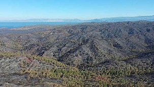 Bakan Kirişci: Marmaris'teki yangın kontrol altına alındı, soğutma yapılıyor 