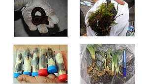 Biyokaçakçılığı önleyecek düzenleme geliyor