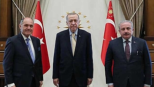 Cumhurbaşkanı Erdoğan, Avusturya Meclis Başkanıyla görüştü