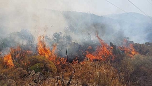 Dalaman'da orman yangını! 