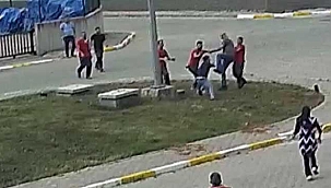 Dalaşan köpekleri ayırırken, Escobar'ı öldürdü! 