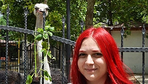 Deve kuşunun kovaladığı Kardelen:Korkulacak bir yanı da yokmuş