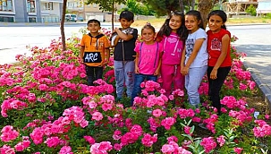 Develi Güller İle Donatıldı