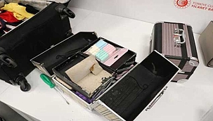 Havalimanı'nda 36 kilogram kokainin yakalandığı dev operasyon!