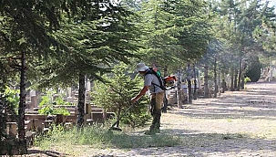 İncesu Belediyesi'nden Mezarlıklarda Temizlik Çalışması