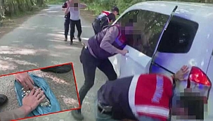 Jandarma'ya sikke satmaya çalışan definecilere...