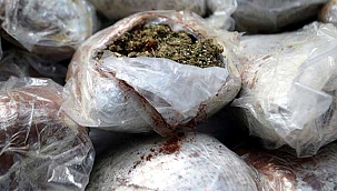 'Kahve' kamuflajı işe yaramadı! 72 kilo esrar ele geçirildi!