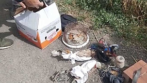 Kayseri yasa dışı şahin avı yapanlara ceza yağdı