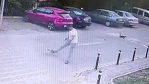 Köpeğe tekme attı. Hiçbir şey olmamış gibi yoluna devam etti