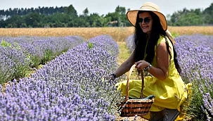 Lavanta turizmi; otellerde yer kalmadı