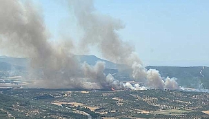 Makilik alanda yangın çıktı
