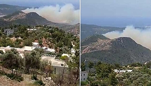 Makilik alanda yangın!