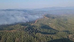 Marmaris'teki orman yangınında 3'üncü gün! 