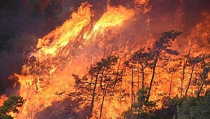 Marmaris yangınında alevlerin ilerlemesi, karşı ateşle önlenmiş