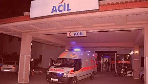 Ot biçme kavgasında 3 kişi...