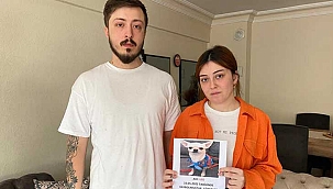 Pet shop'ta çiftleştirme bahanesiyle çalınan köpeklerini...