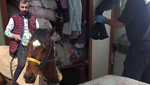 Saklandığı gradropta yakalandı! Köpeği öldürüp evi...