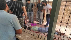 Sokak ortasında güpegündüz dehşet! Önce sevgilisini sonra kendini...