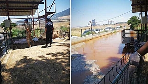 Sulama kanalına düşen ikizlerden acı haber! 