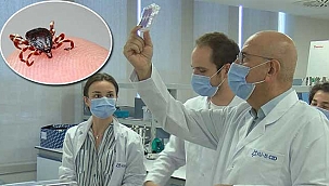 Türk bilim insanlarından Kırım Kongo’ya çare olabilecek çalışma